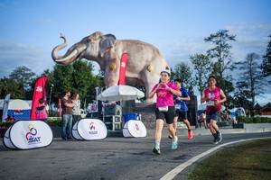 BIB: 
                            <button type="button" onclick="openModal(26541951)" class="btn btn-primary btn-sm float-right btn-popup" data-toggle="modal" data-target=".modal-high-quality">
                        <i class="fas fa-shopping-cart"></i> Add to Cart
                    </button>
                                            <button type="button" onclick="isThisMe(26541951, true)" class="btn btn-success btn-sm float-right btn-popup btn-isme hidden" data-toggle="tooltip" data-placement="bottom" title="นี่คือรูปของคุณใช่ไหม คลิกที่นี่เพื่อเอาเข้าอัลบั้ม">
                        <i class="fas fa-plus"></i> Add to album
                    </button>
                    <button type="button" onclick="isThisMe(26541951, false)" class="btn btn-warning btn-sm float-right btn-popup btn-isnotme hidden">
                        <i class="fas fa-ban"></i> Remove from album
                    </button>